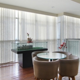 Vertical Blind